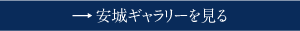 安城ギャラリーを見る