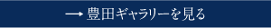 豊田ギャラリーを見る