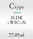 Ctype